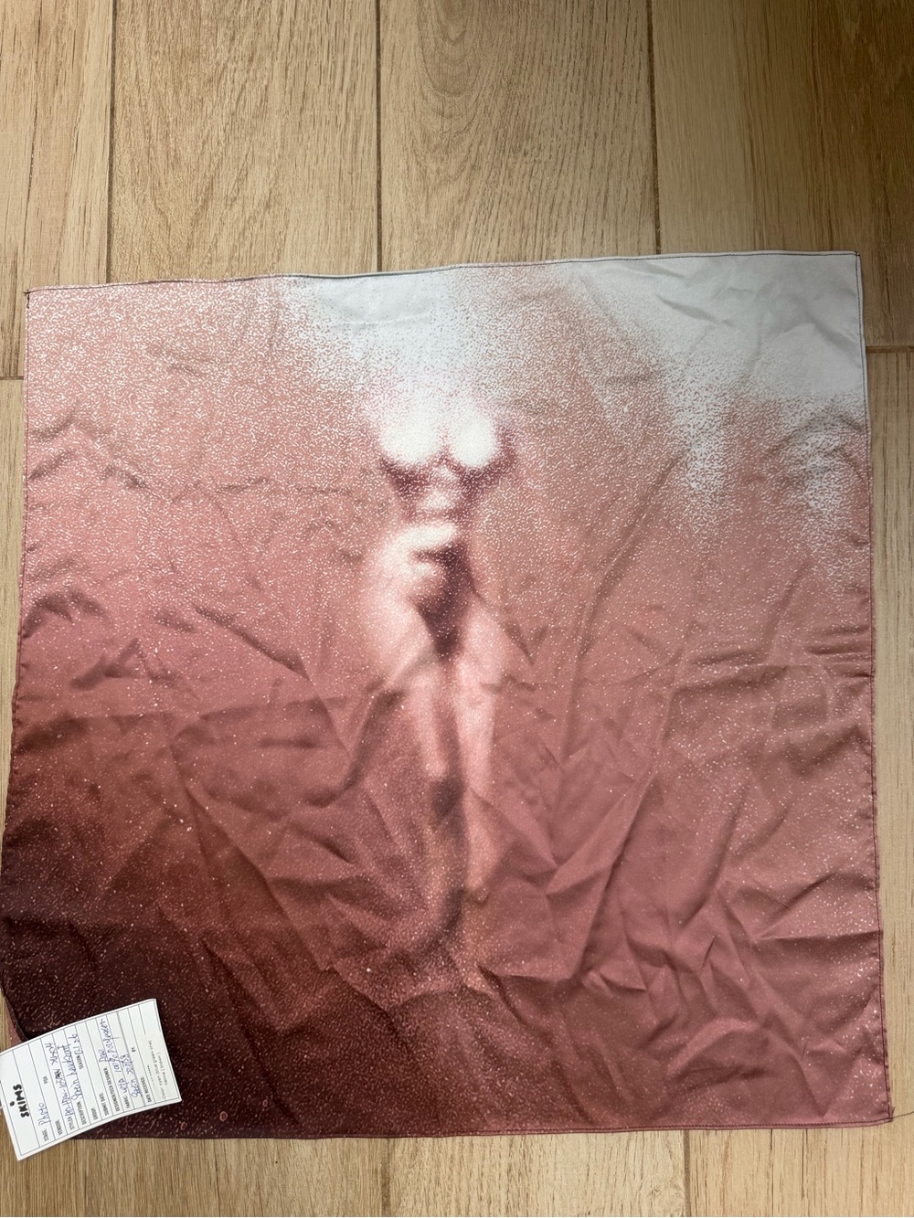 NWT Skims Body Ombre Wall Art Panel in Rose Pink